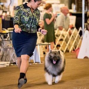 Meet your Posher, Hayley